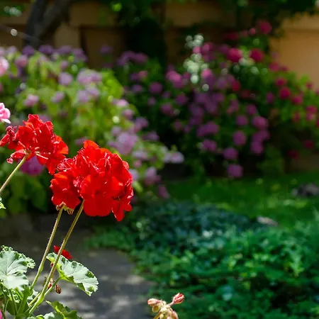 Tatyana Garden * Пловдив