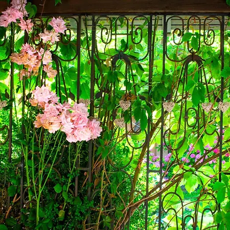 Appartement Tatyana Garden